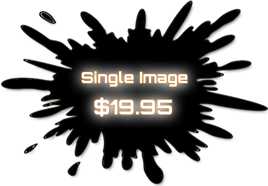 Single Image Price $19,95